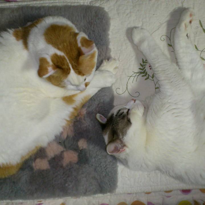 8b6d82be e0b1 43db b6a9 fbd214a1d833 1522144624357