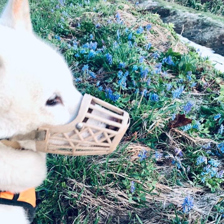 8b6d9030 2df9 4389 98ca fc4bd2a88513 1650746871669