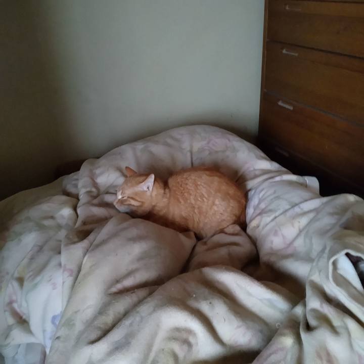 8b6da4e1 a9aa 4dd4 bf58 d4e88a29d47e 1744926715945