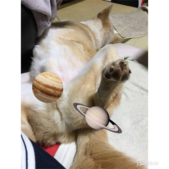 8b6dbab5 6346 448e a758 4e779c8b9c91 1525877075072