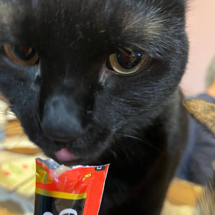 8b6dd1b2 f85e 40ba b4a9 dce3e8ed164f 1683543402942