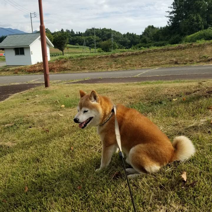 8b6de37e ab8e 480f 9eab 6fede61d69e2 1693637557319