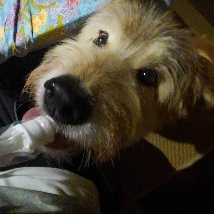 8b6df522 d5f3 43db a044 f2d2d3593bb9 1605868456980