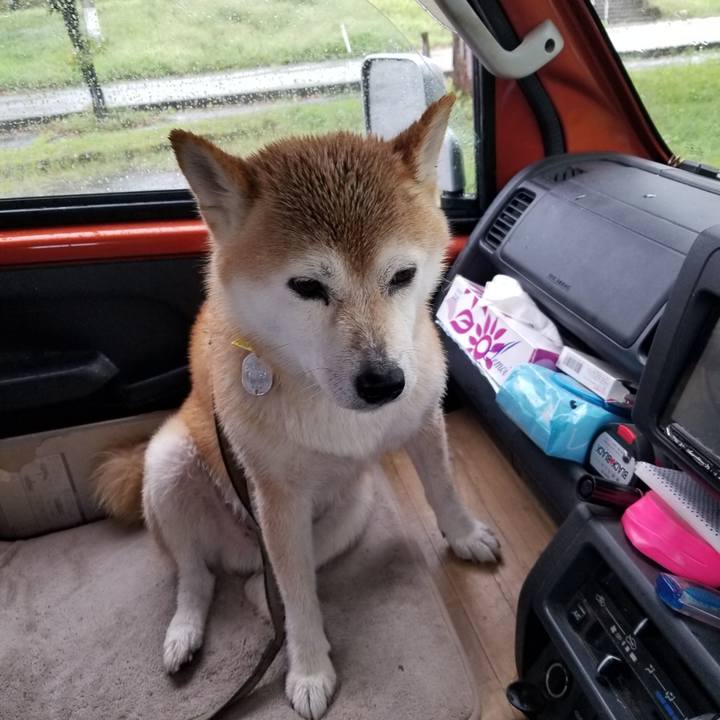 8b6e20cb 2aad 45a5 bc05 a3586e21cfdb 1660975926963