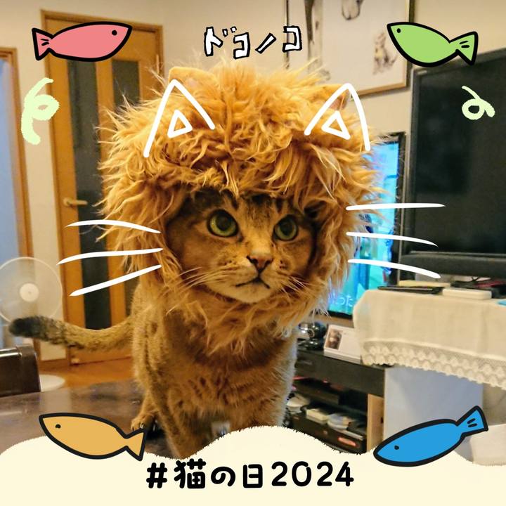 8b6e2bcb 1946 4684 a3db bda65ace457b 1708612342480