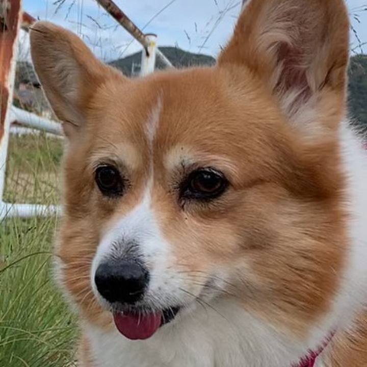 8b6e4616 b3f1 4517 99d1 fb97cfe0528b 1699843784531