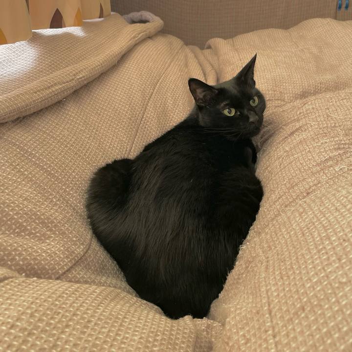 8b6e571d b8c1 4a05 ae50 e8f8a57e8035 1667388278574