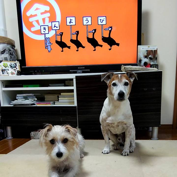 8b6e6c36 245e 4f40 8813 83cd53f1d0d7 1555625748226