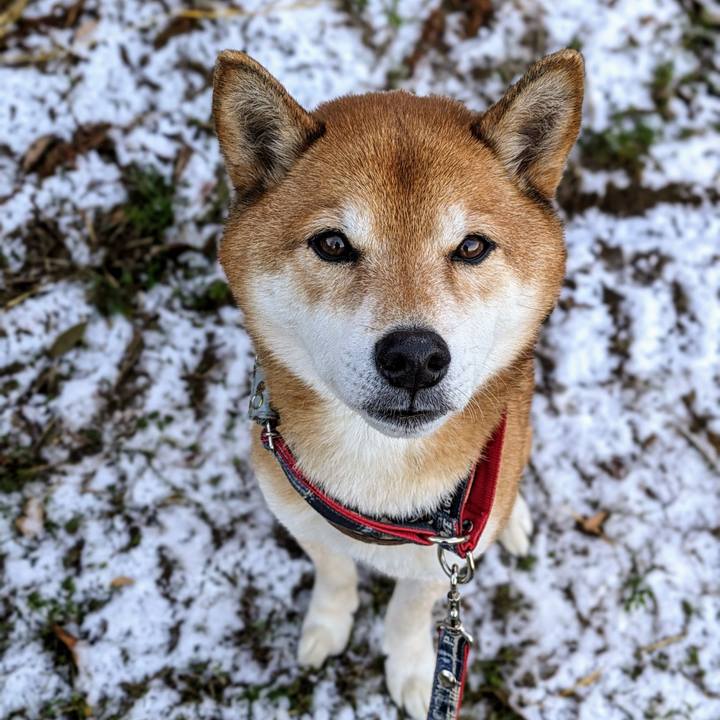 8b6e9cd2 7bc8 4d0c a64b 474c76792d04 1705218437361