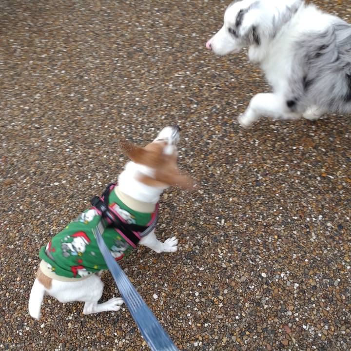 8b6f253d 94ab 43bd b614 0f31dda588bc 1766536183929