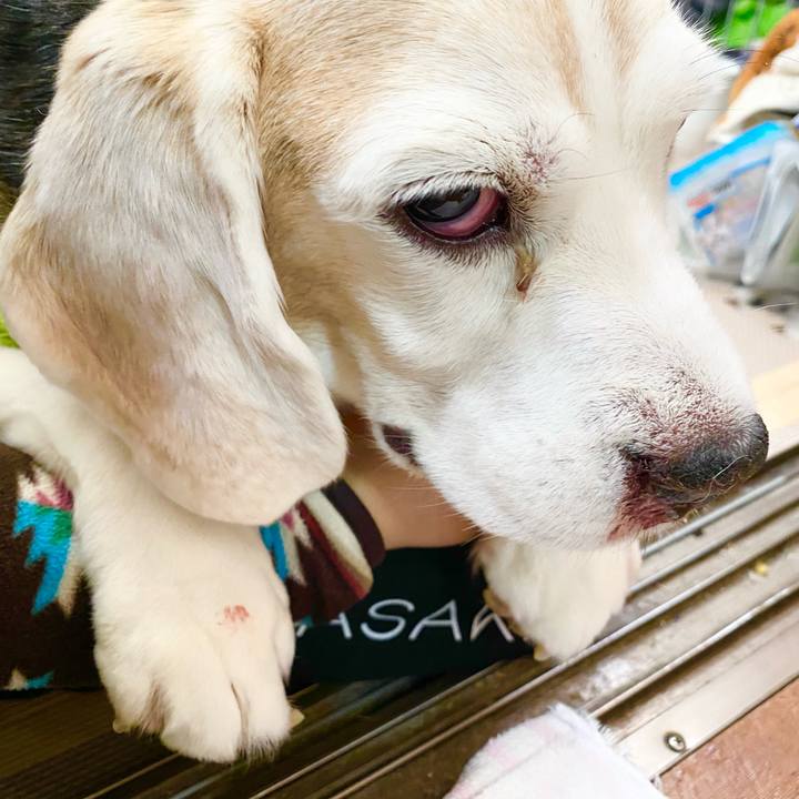 8b6f4b2b 537c 4f6c b397 69101588915a 1667793357264