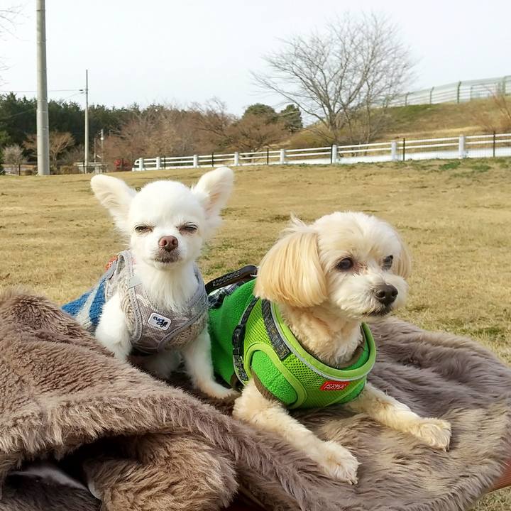 8b6f5145 57db 4996 a54e f10794ffe5a8 1580381981607