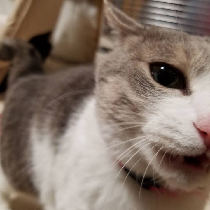 8b6f693c 849c 425a 9f5d 0b2393d8dae5 1578614202384