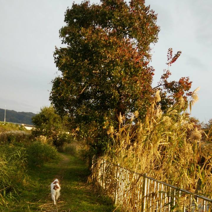 8b6f89c9 053b 4007 bd88 409ae7c468fe 1542099000956