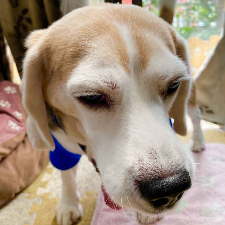 8b6f9f9b 40f9 4084 9ed6 acf53f1263a2 1619235873604