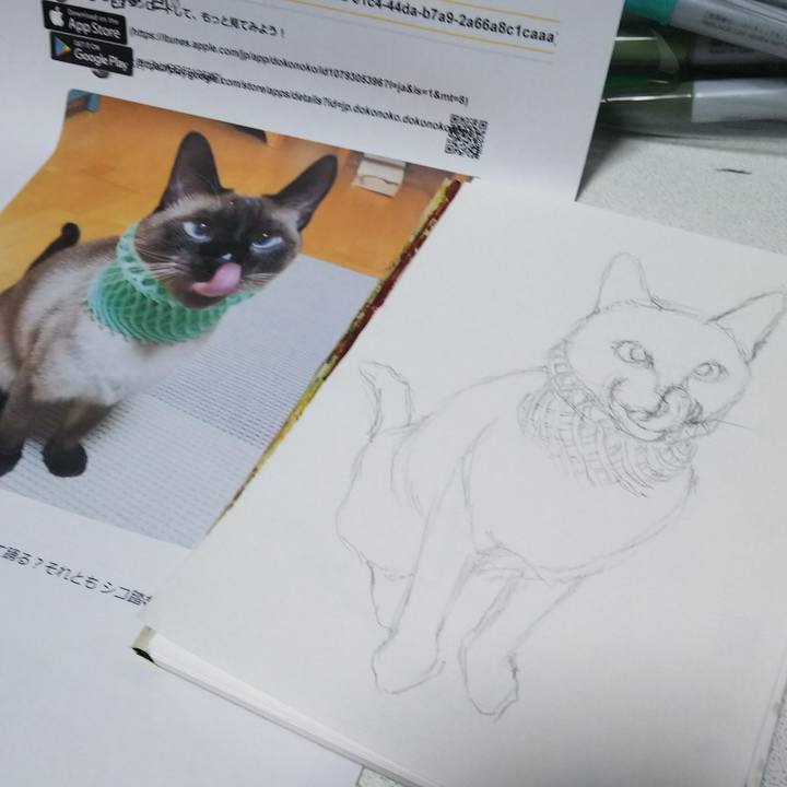 8b6fbaa6 34bc 4e04 a9c8 48bfad065854 1545561418283