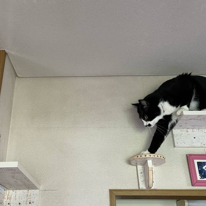 8b6ff412 2a4e 4e68 b179 d43681f030f6 1656761355724