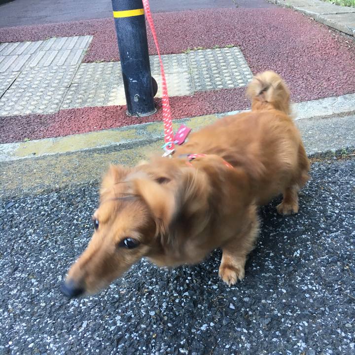 8b6ffe12 0820 4cd9 8acc e26ebc5eb2e7 1526805722770