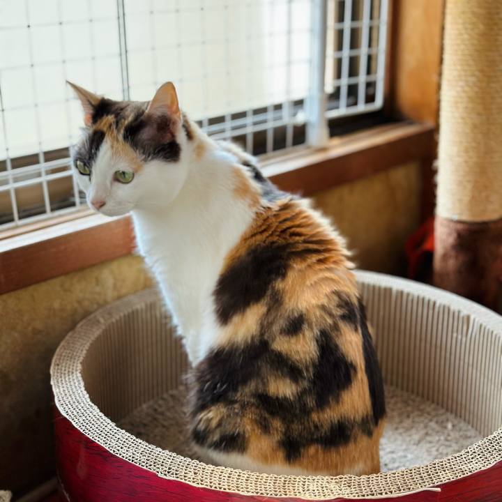 8b707c95 0682 4552 8327 bbb88a9e2c5a 1685843816845