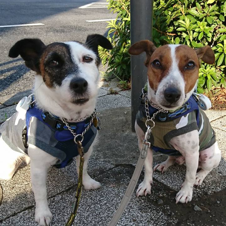 8b7087e8 b831 49df a6ec 34376b8103af 1568670380309