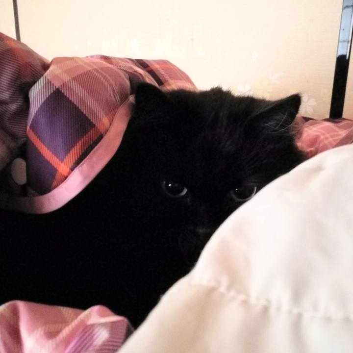 8b70941e 9555 4370 92fe 3170320b37f2 1518393846406