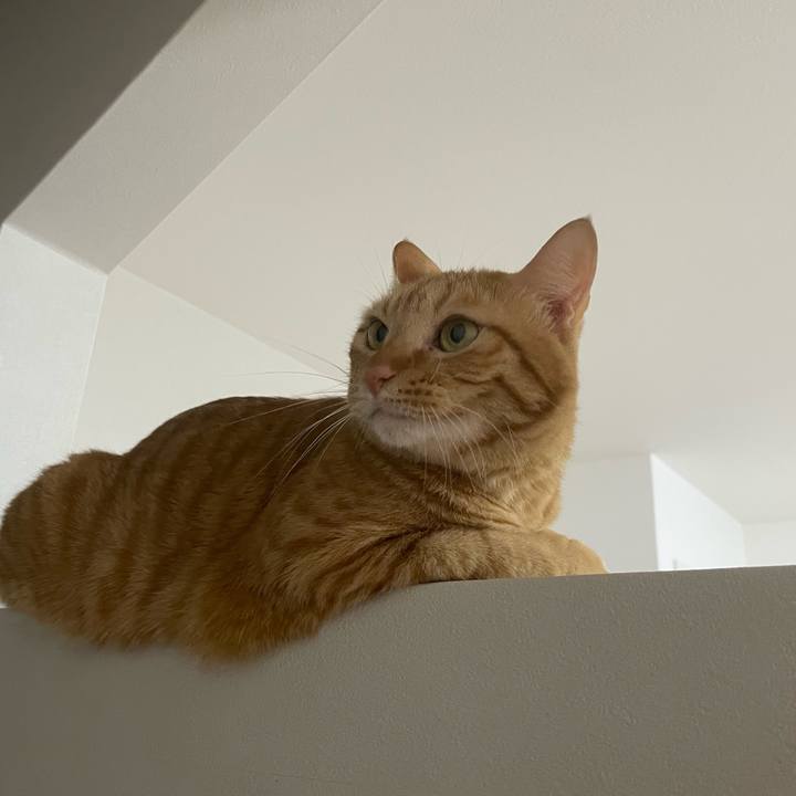 8b711c28 d9eb 4c41 92c6 9db4bc5bfa03 1730416426770