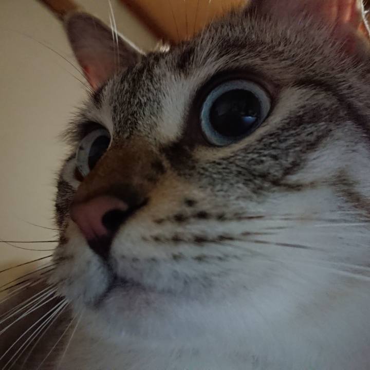 8b712081 06e8 4546 b38c e05d23db91f1 1537715724260