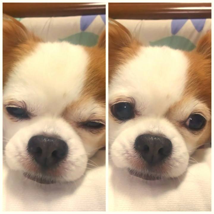 8b713c7a b179 44e9 9696 efa540cc7268 1580988528633