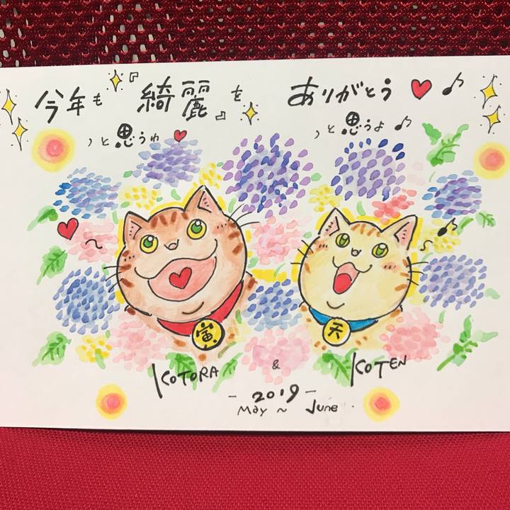 8b715842 7f01 4b01 ade5 470376aed505 1559221527747