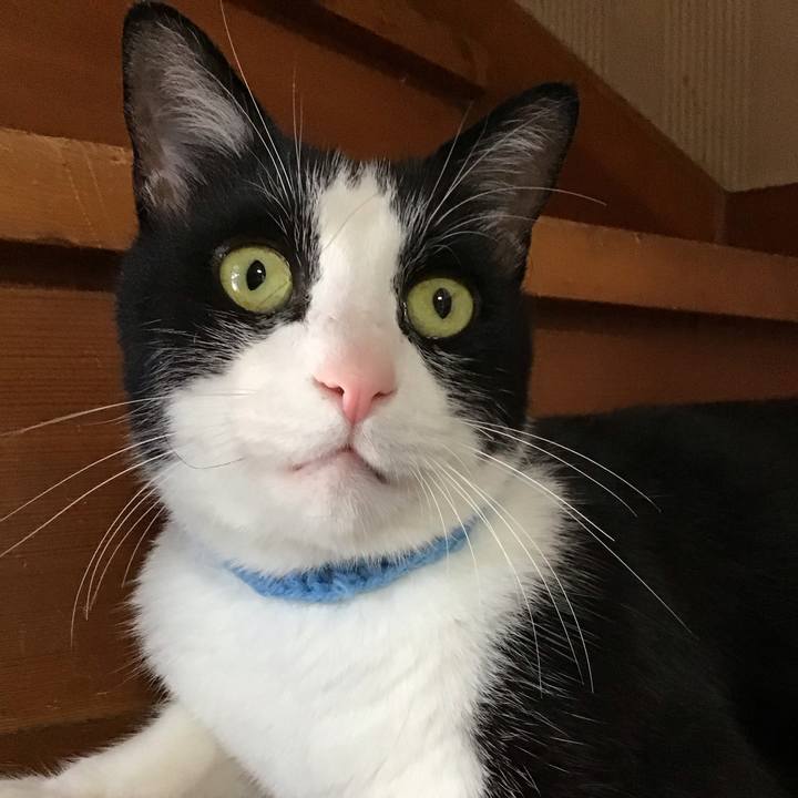 8b7185bf 89e3 47e9 a921 58f269b95d6a 1750150054283