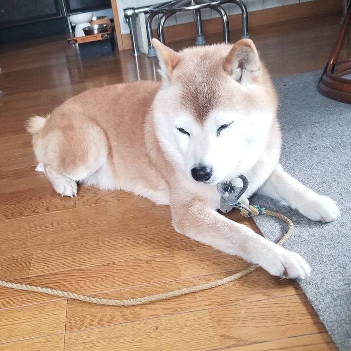 8b71892d 8968 4709 b13d d014f3e4922b 1709084001639