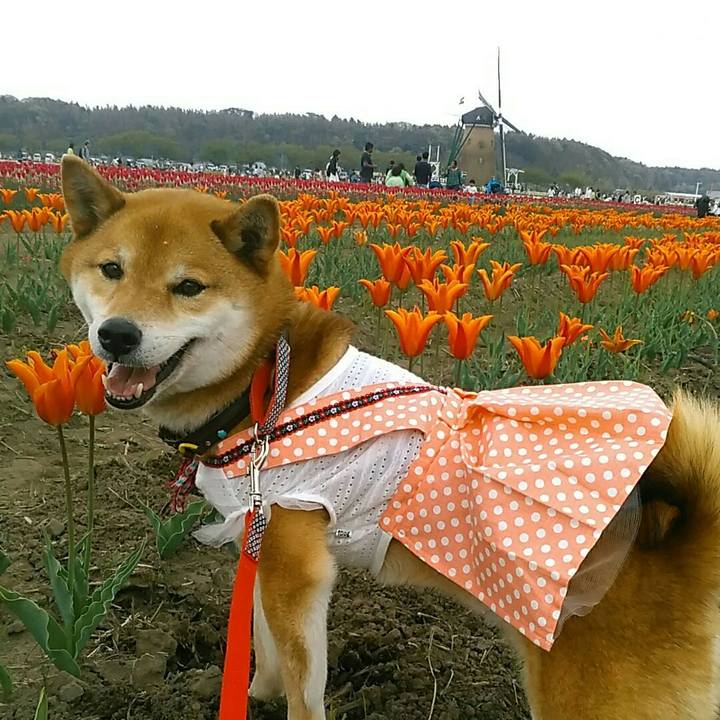 8b71975b 841a 4b7a 8f04 7858928087f9 1555840434182