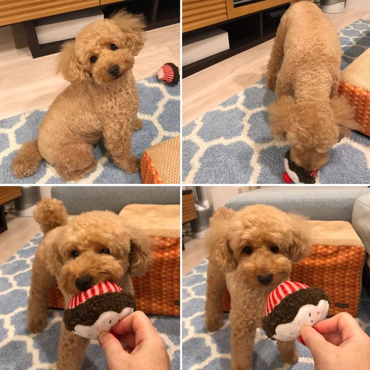 8b71a683 c074 4b4d a8b2 f45591de8494 1568300760921