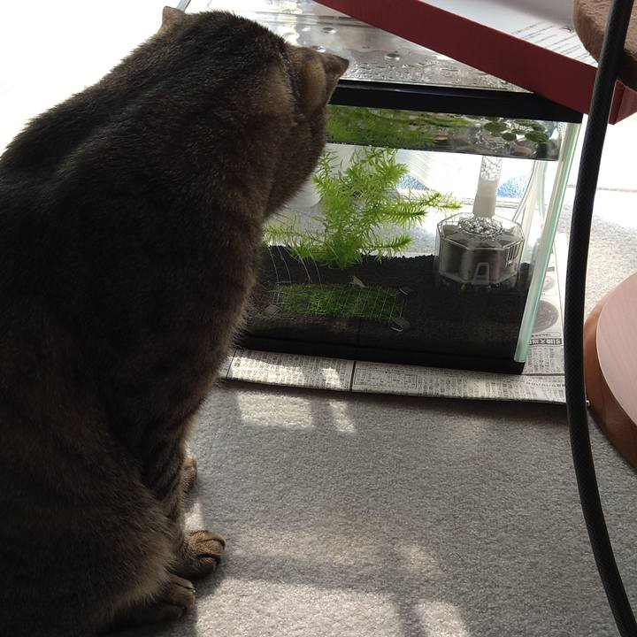 8b71db1c c961 4b7f 97d2 cde0b6e0664d 1630129263633