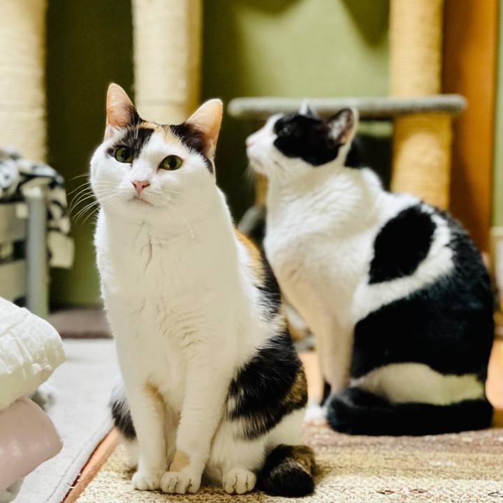 8b723f94 57f2 4eb5 9be8 fb89cab1e301 1619141839128