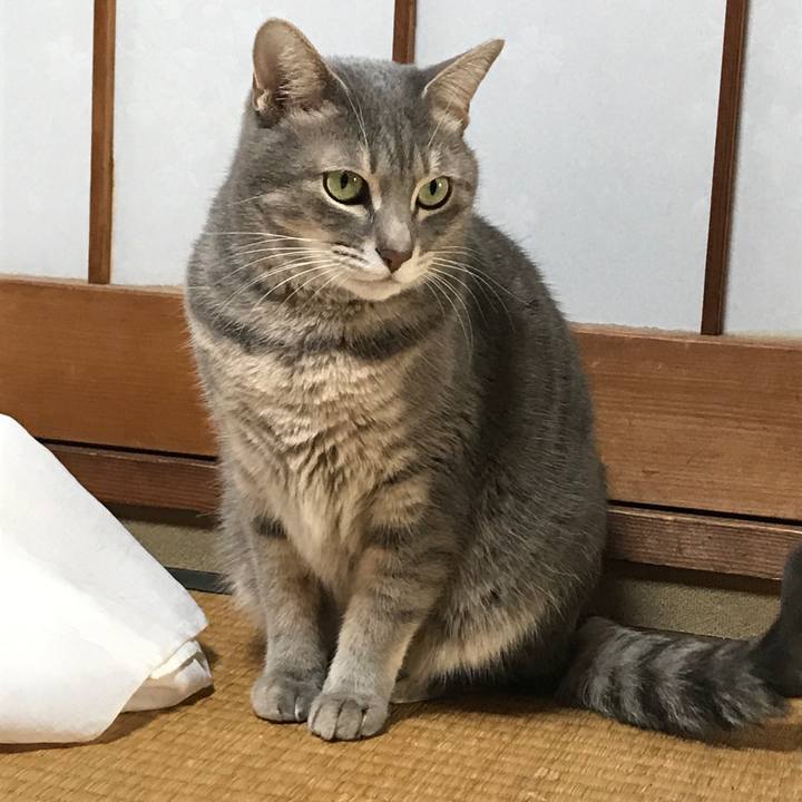 8b726be6 a25f 4d57 9f13 a6abb54d5c28 1639095199712