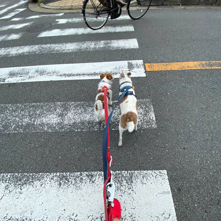 8b72ac68 06e5 4ae7 b092 2851af1c55c7 1664325696431