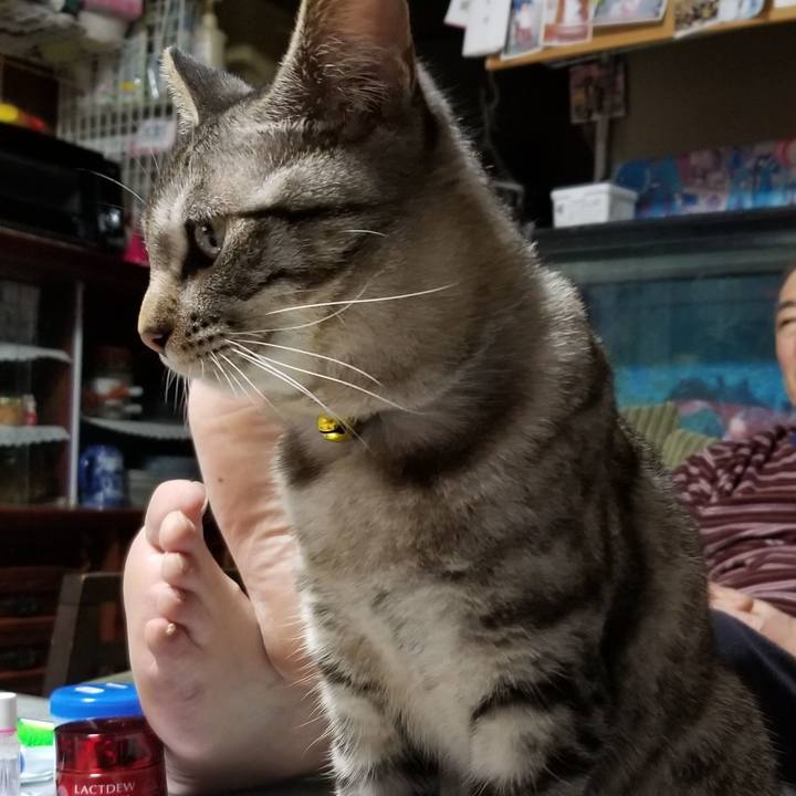 8b72bd79 b6b5 4f08 8c9d 4a9b2774bd3d 1676122327738