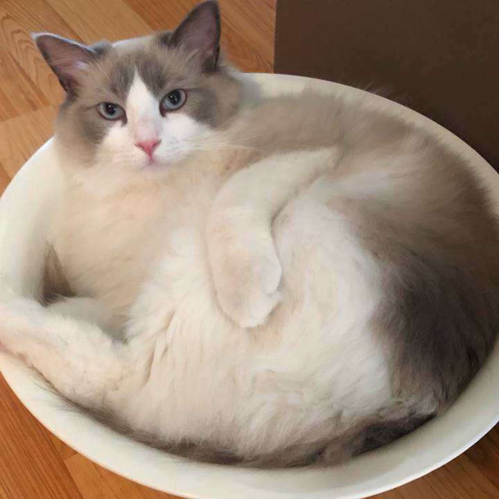 8b72eff3 6507 4678 8fb9 eb4c2f6cfc4b 1563607631405