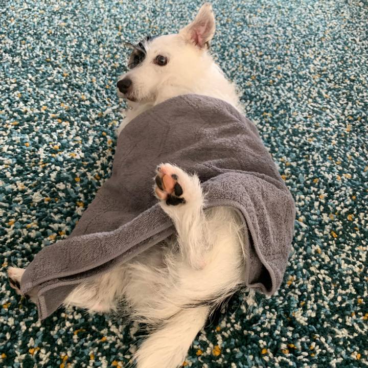 8b7333a3 6867 4322 b1b8 39ad9aeb728f 1662435739698