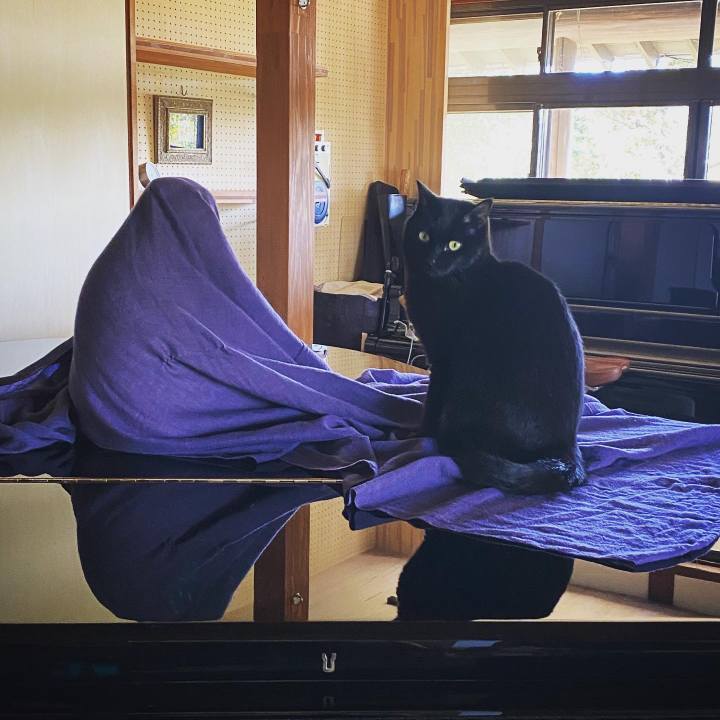 8b733deb c4cb 4f7b 88e0 1488d8a7d008 1612318338378