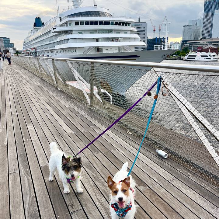 8b734a0f be8b 4175 9837 217e5cba7d5d 1758633761436