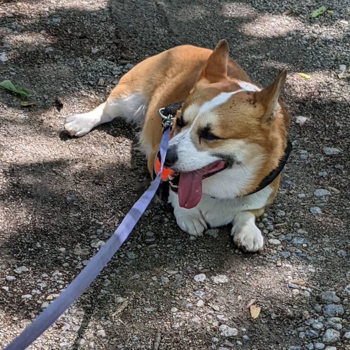 8b737f90 8e5a 4e6c 95ea 0f5c35200375 1682999207936