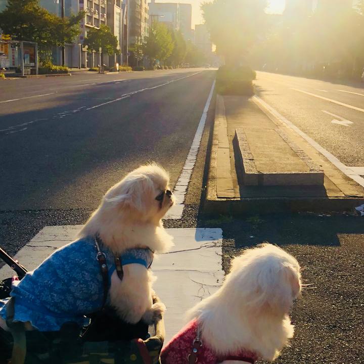 8b739853 b8b2 4460 af03 a285e0610c4e 1570660860426