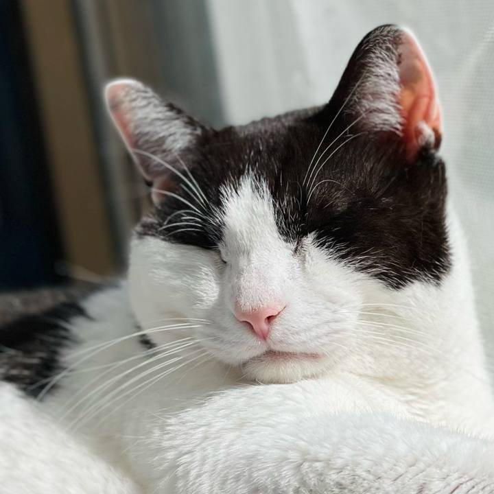 8b739c6a fc33 4cf2 827e cfc523ecd484 1651545532225