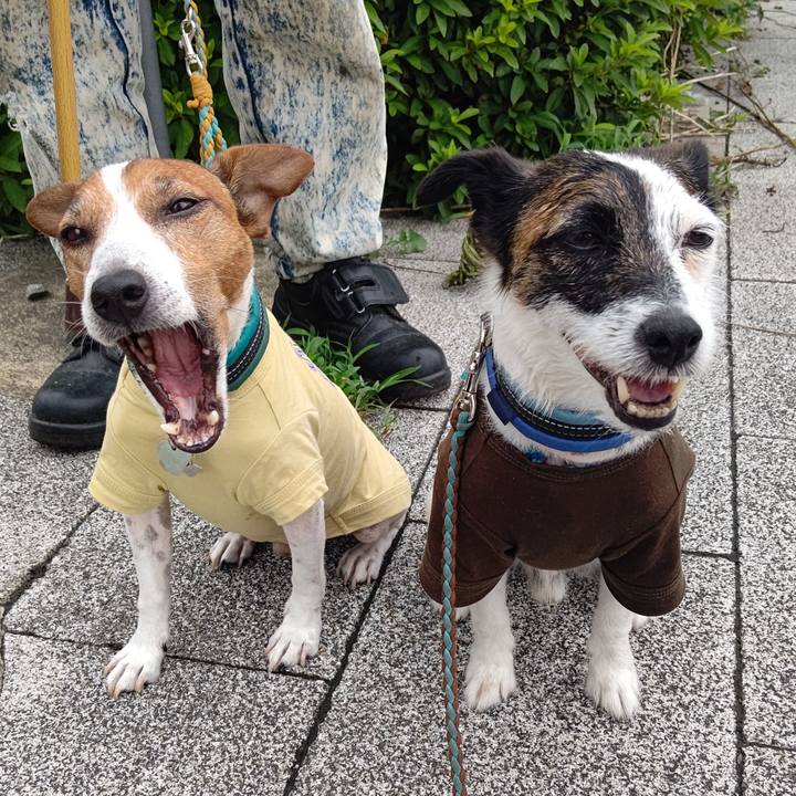 8b739ee7 fc05 40af b49a 4b226183dd3c 1719870569644