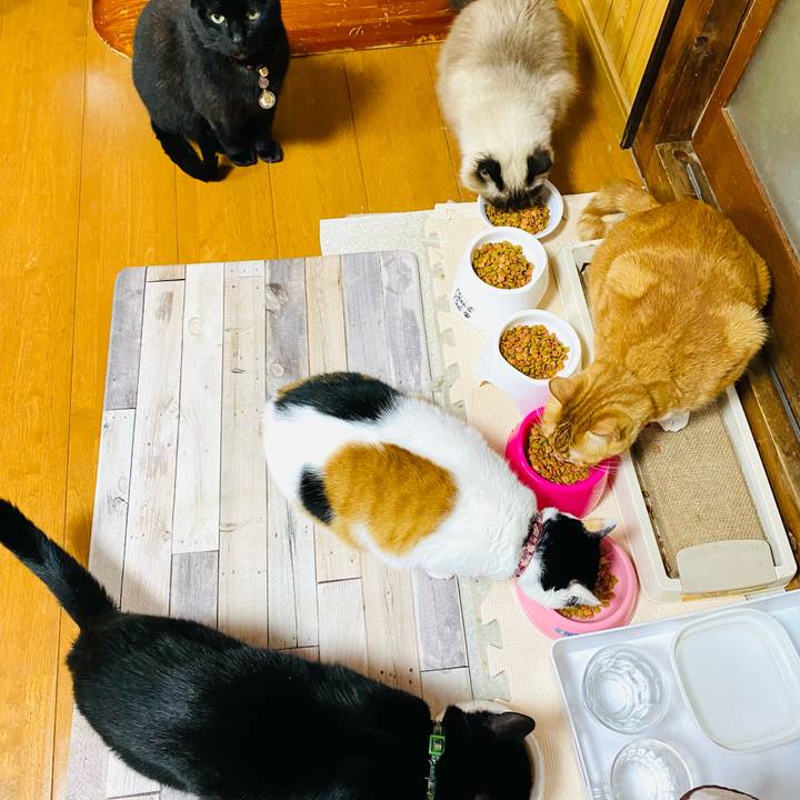 8b73fc14 edc4 4792 b545 bdf8548bfa78 1701768548264