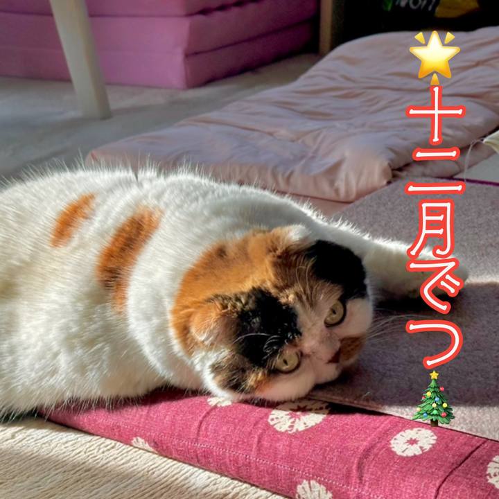 8b73ff6b b757 4c10 82cb 4a015dad26ac 1733100761797