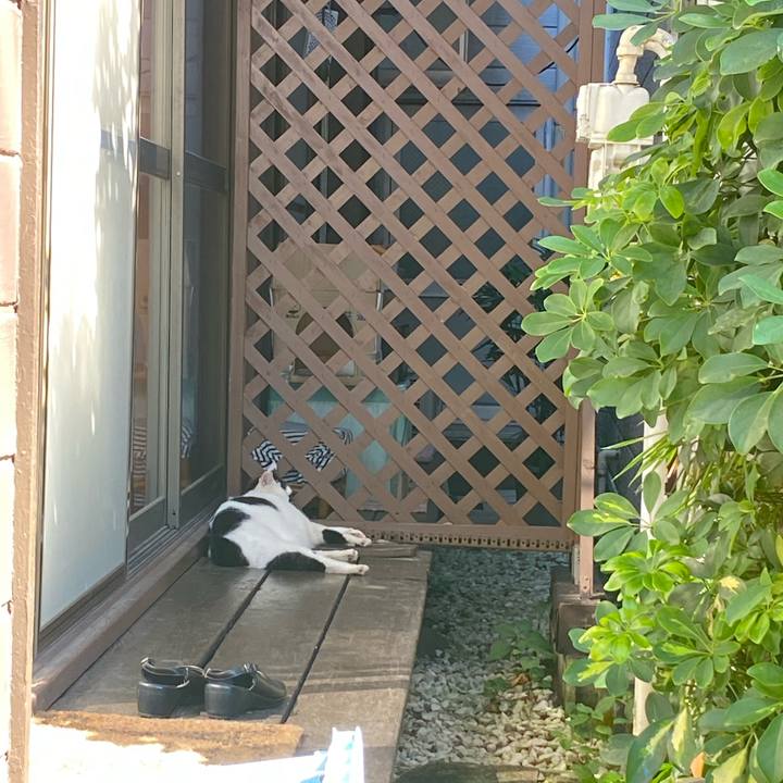 8b740aa5 9cc3 4f6b 97f5 2e53e59cce9e 1662817659562