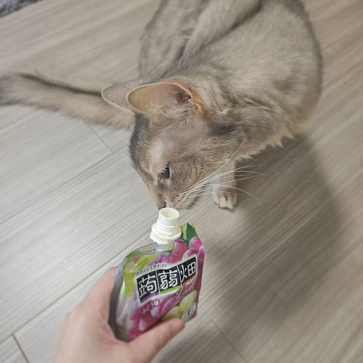 8b7429cc 4a29 4728 977a 62f4c460a658 1772109051465